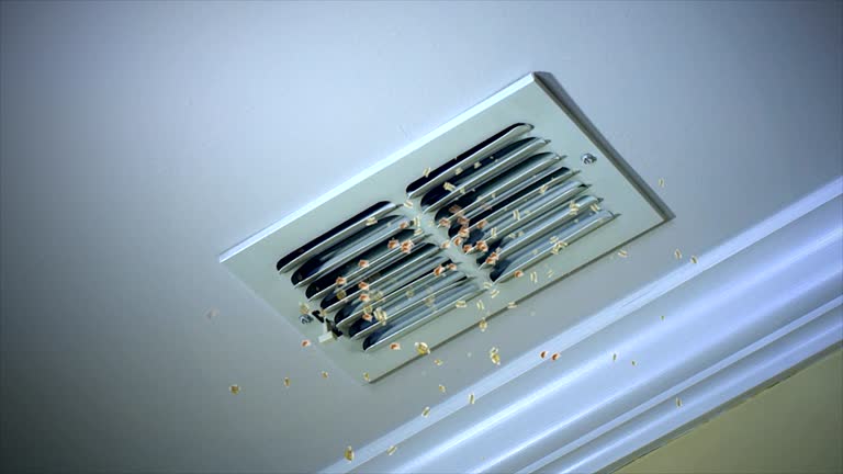 Best HVAC System Cleaning  in Bryan, TX